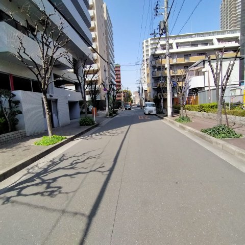 ハイネスプリモール城東のその他|周辺道路です。