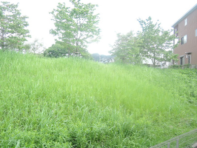 【展望】 | ファミーユ