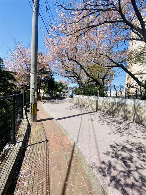 サンライフ名島の外観