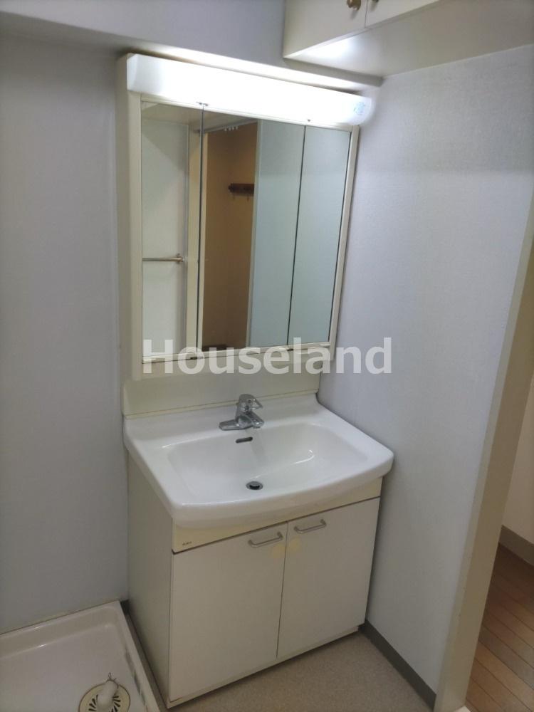 ネスタ花山の洗面所