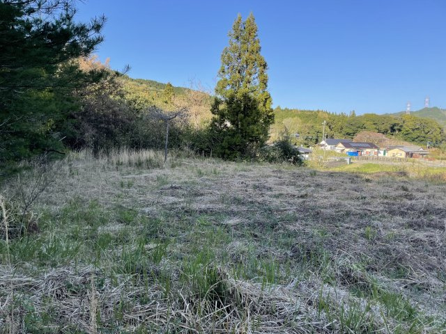 北波多竹有売地