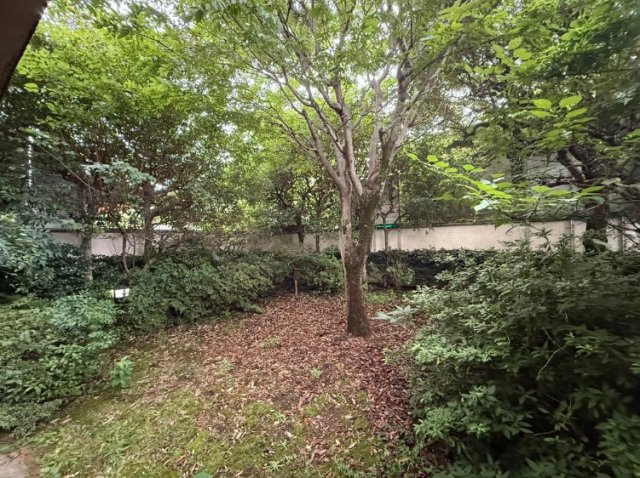 【庭】 | S21257-北白川