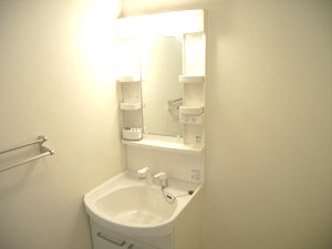 メゾン石川　の洗面所|広い洗面スペース