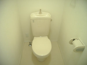 メゾン石川　のトイレ|ゆったりとした空間のトイレです