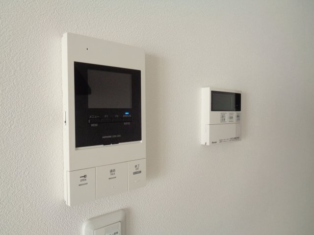 ダウントンのセキュリティ