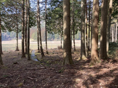 【外観】 | 青垣町奥塩久