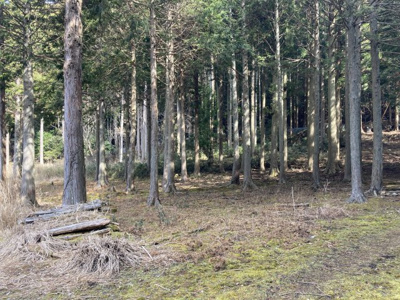 【外観】 | 青垣町奥塩久