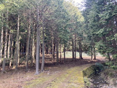 【前面道路含む現地写真】 | 青垣町奥塩久