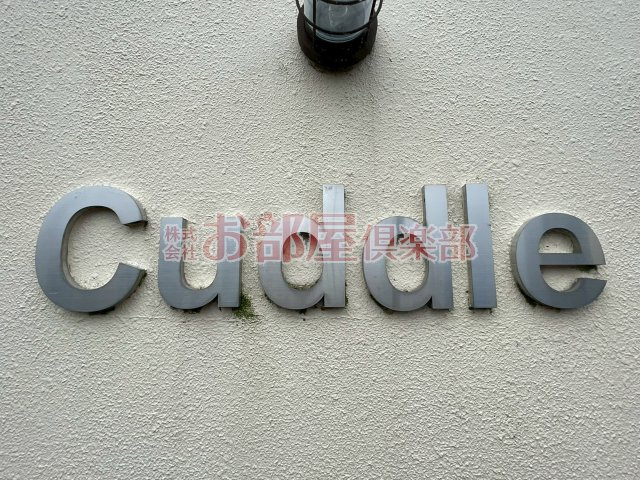 カドルのその他