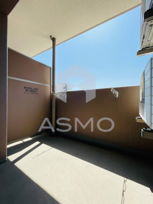 【バルコニー】 | セレッソコート上本町EAST | 同マンション別部屋参考写真