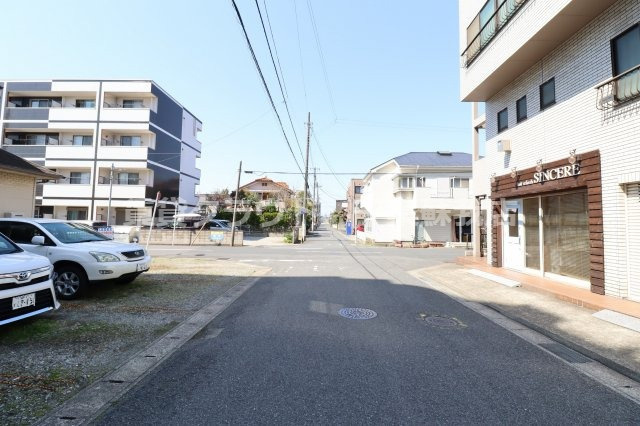 プランドール樹の周辺