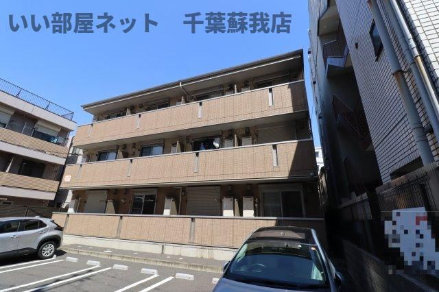 プランドール樹