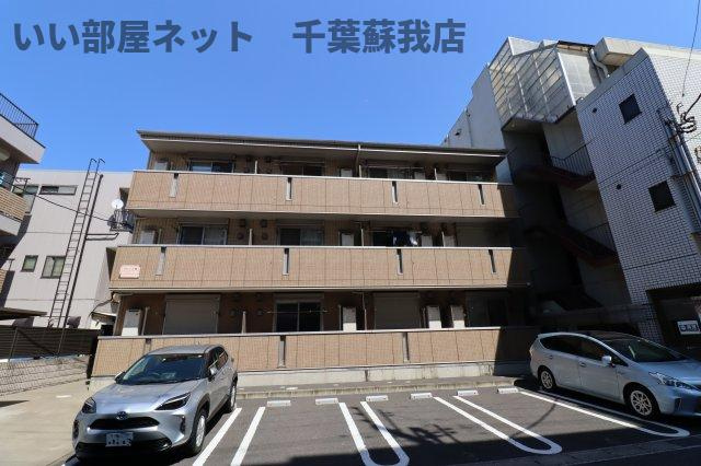 プランドール樹の外観