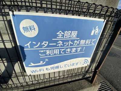  | バリュージュヴィオラ