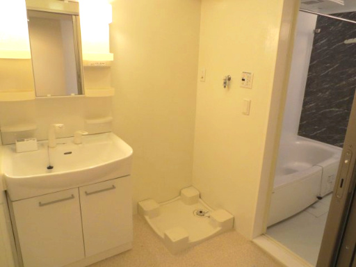 レコルトAの洗面所