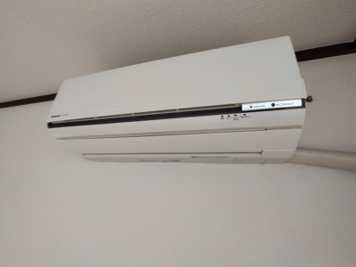  | ロゼッリーナ灰塚