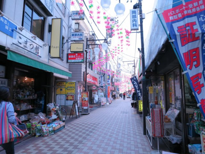 【周辺】 | メルクマール京王笹塚レジデンス