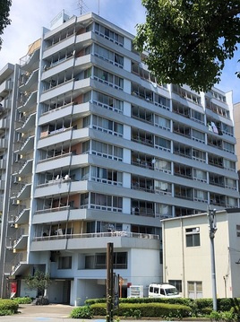 アクタスＦ（鶴見区鶴見中央４丁目）の外観|外観です　アクタスＦ 　東南角部屋のため陽当たり・通風良好　リノベーション物件　1996年4月築　JR京浜東北・根岸線「鶴見」駅徒歩7分 　エアコン設置　2SLDK　ペット飼育可　リバービュー　