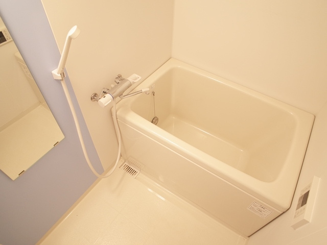 OHMIYA252の浴室|OHMIYA252（2LDK）　風呂