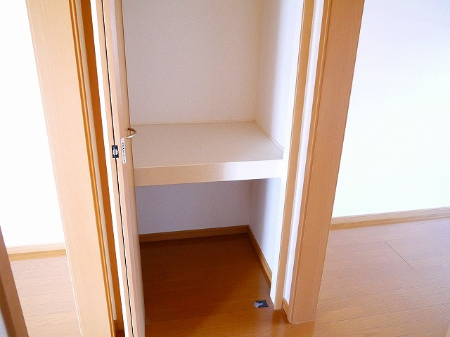コンフォート浅古Ⅱの収納|こまごまとしたものを収納できそうですね