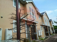 ハピネスワンの画像