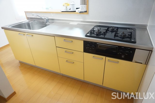 スカイハイツ新屋敷のキッチン