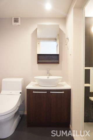 熊本市中央区南熊本１丁目のアパートの独立洗面台