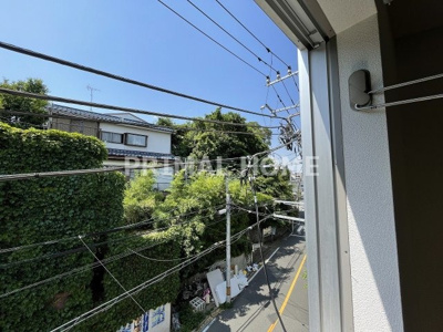 【展望】 | バニアンツリー