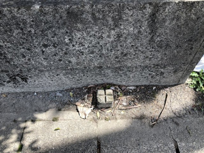 【外観】 | 安食土地