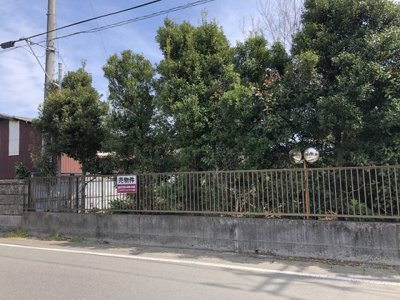 【前面道路含む現地写真】 | 安食土地