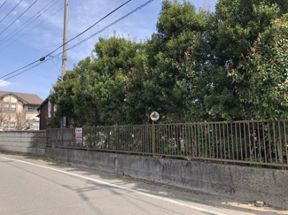 【前面道路含む現地写真】