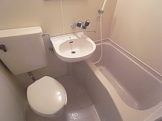 メゾン・ド・エミュウの浴室