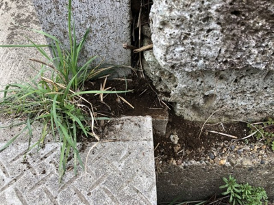 【外観】 | みずほ団地売地