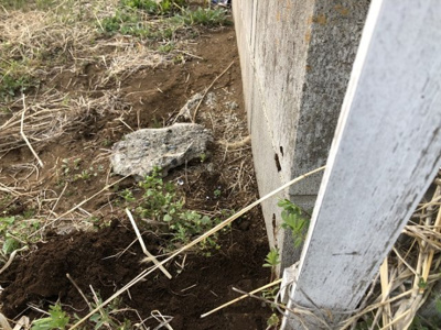 【周辺】 | みずほ団地売地