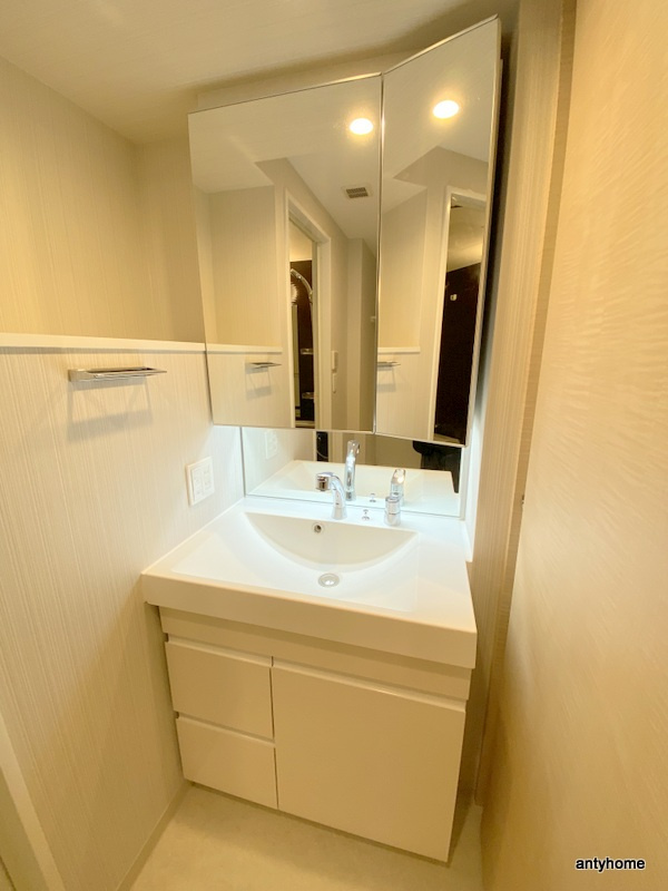 エステムコート難波Ⅵエント　仲介手数料無料の洗面所