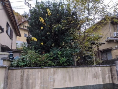  | 上高野東田町　中古戸建〇ワンボックス駐車可〇