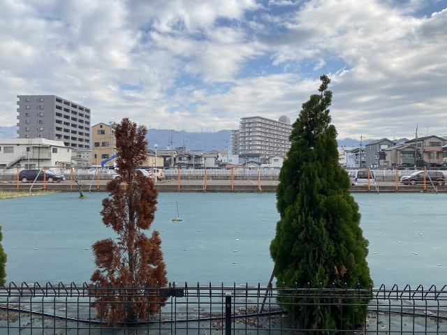 ミリオン志紀の展望