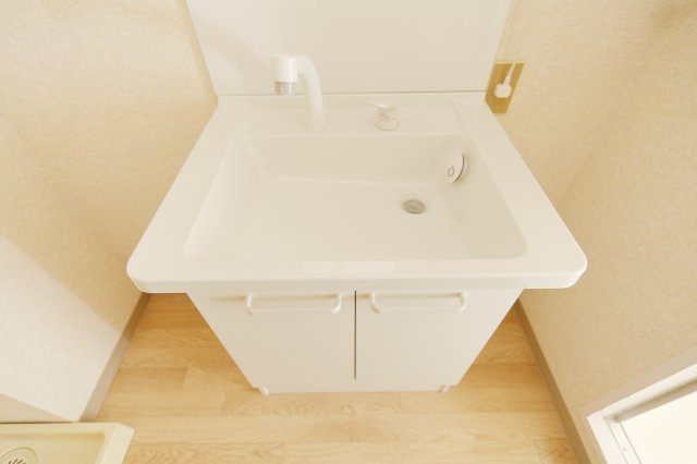 ロワイヤル東井堀12の独立洗面台