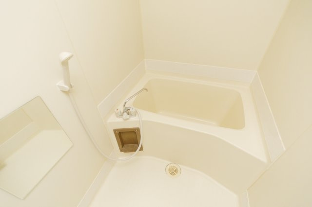 ロワイヤル東井堀12の浴室