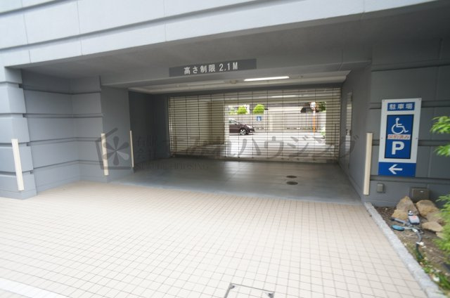 アスターのその他