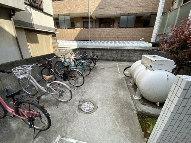 Clarice MAIHAMAの周辺