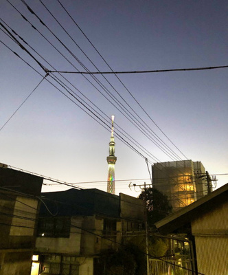 【展望】 | アーデル墨田文花