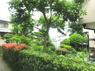 【展望】 | 窓からの眺望。