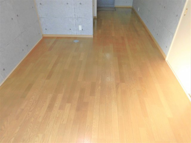 リバーライズⅡの居間・リビング