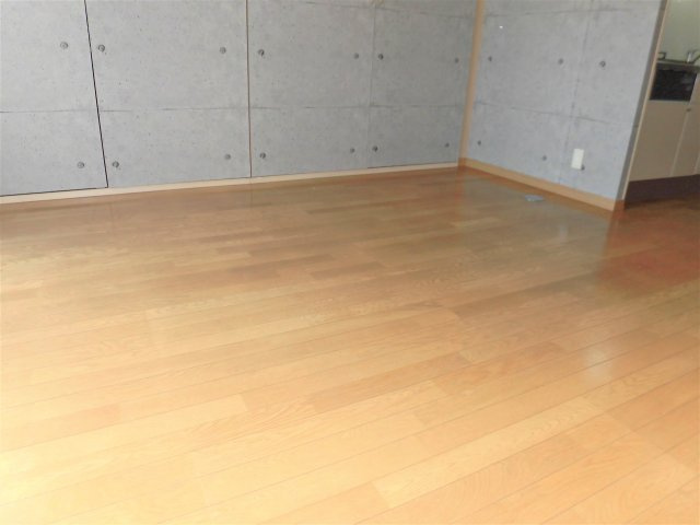 リバーライズⅡの居間・リビング