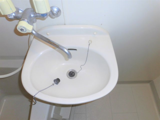 リバーライズⅡの洗面所