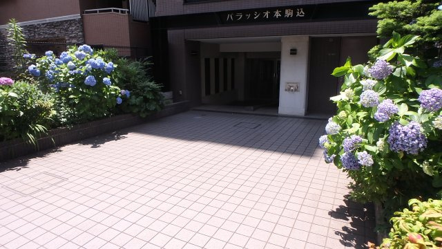 パラッシオ本駒込のエントランス