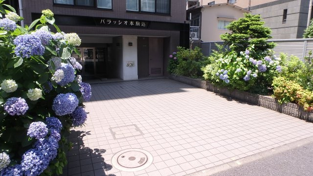 パラッシオ本駒込のエントランス