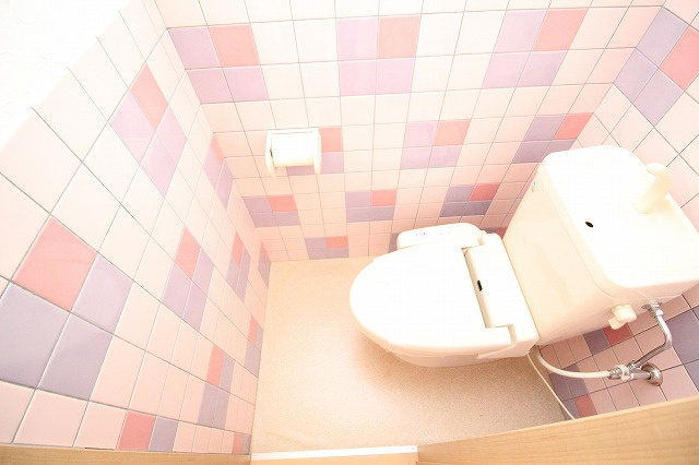 ドリームハウス2のトイレ|清潔感のあるトイレです
※間取りが若干異なる場合があります
