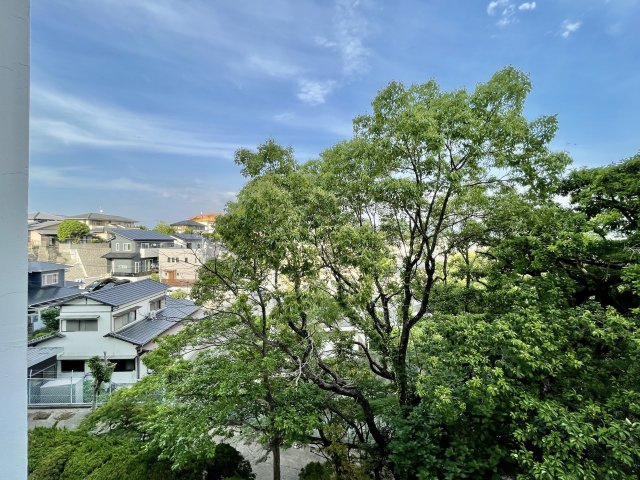 サンライフ名島の展望